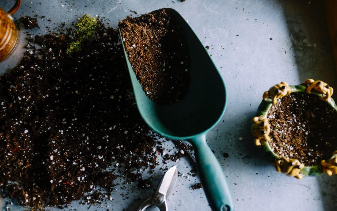 The Ultimate Guide to Organic Gardening for Beginners