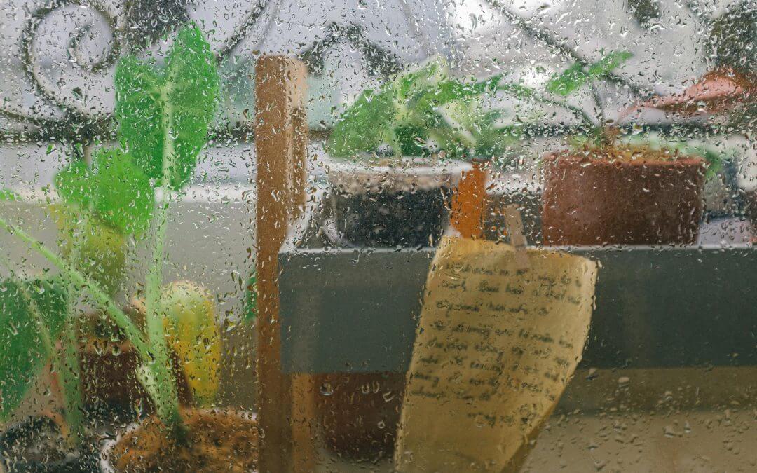 What Are the Benefits of Using Living Soil Pots? (Revealed)