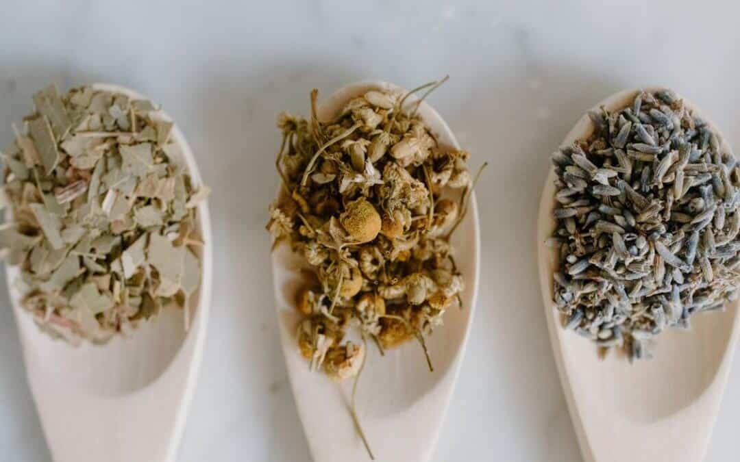 A Balanced Look at Benefits and Limits of Natural Medicine